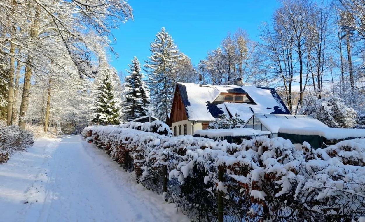 Ferienhaus Jaegerhaus Oppach Privathaus 외부 사진