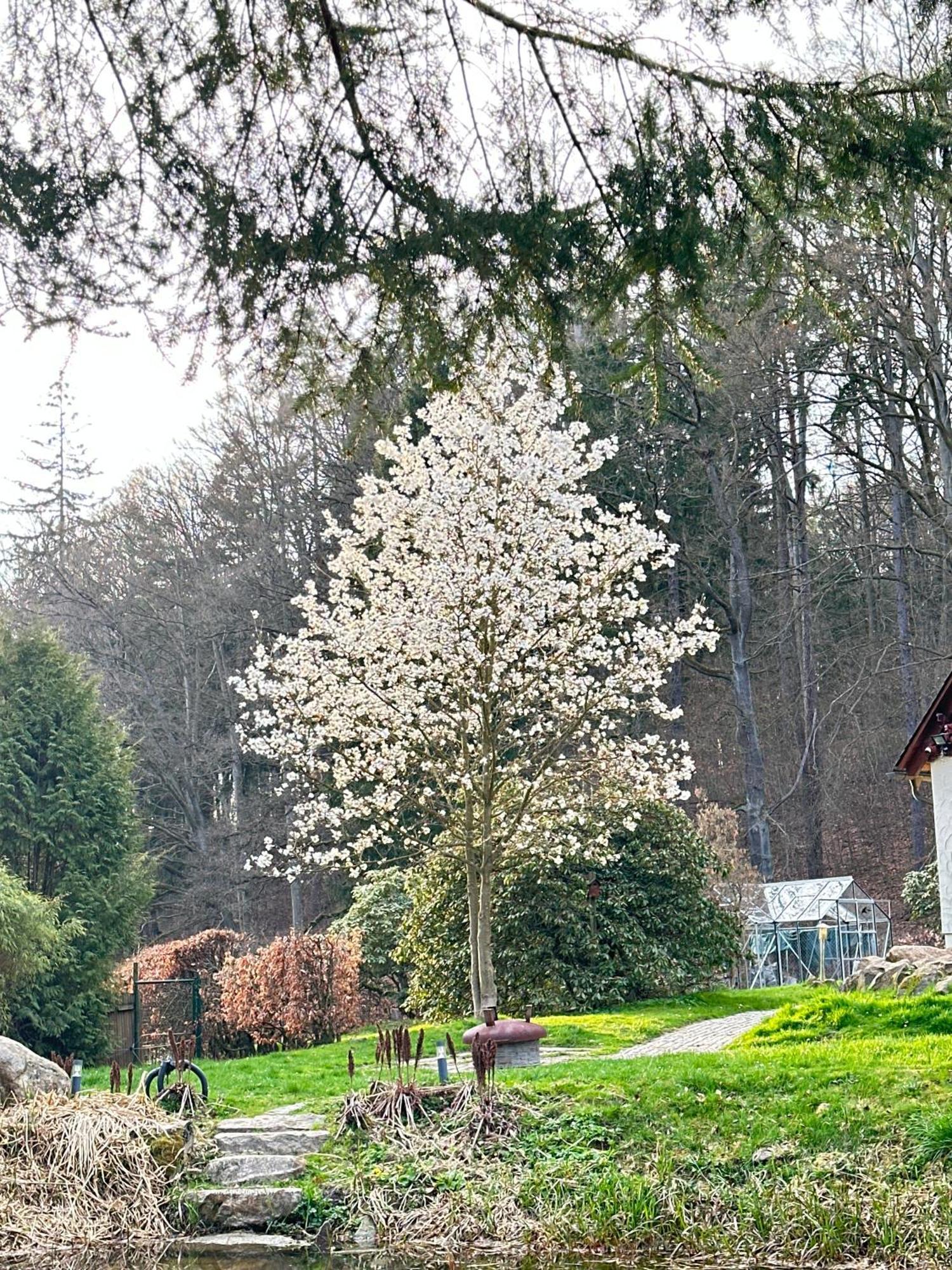 Ferienhaus Jaegerhaus Oppach Privathaus 외부 사진